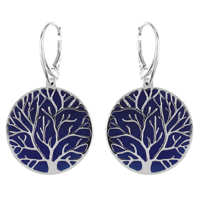 Orecchini in argento (dagen)