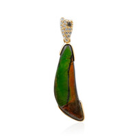 Ciondolo in oro con Ammolite