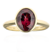 Anello in oro con Zircone Rosso (CUSTODANA)