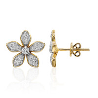Orecchini in oro con Diamante SI1 (G)