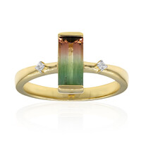 Anello in oro con Tormalina Bicolore