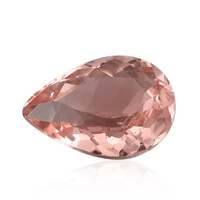 Gemma con Morganite Pesca