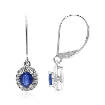 Orecchini in oro con Zaffiro Ceylon Blu