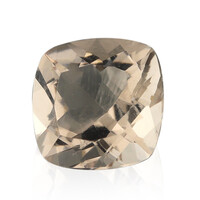 Gemma con Morganite Pesca