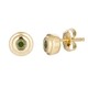 Orecchini in argento con Diamante Verde I2
