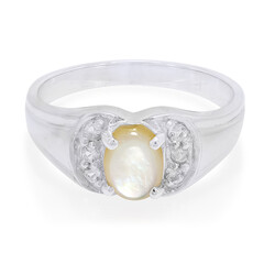 Anello in argento con Conchiglia Abalone