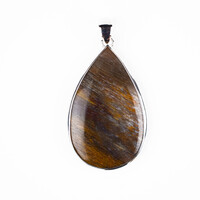 Ciondolo in argento con Legno Fossile