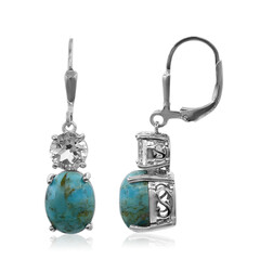 Orecchini in argento con Turchese