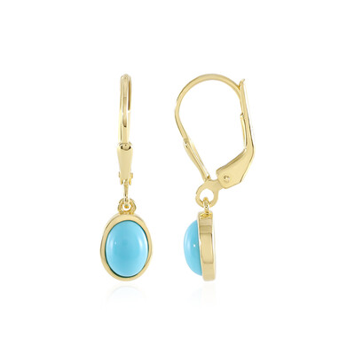 Orecchini in argento con Turchese Sleeping Beauty