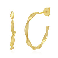 Orecchini in argento