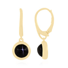 Orecchini in argento con Diopside Stellato d'India