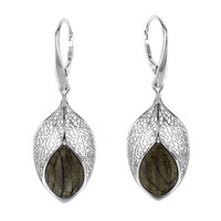 Orecchini in argento con Quercia Nera