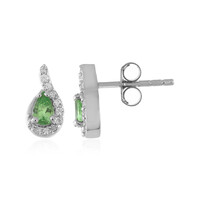 Orecchini in argento con Tsavorite