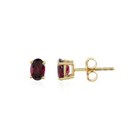 Orecchini in argento con Rodolite Lampone