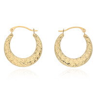 Orecchini in oro