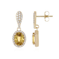 Orecchini in oro con Zircone Giallo (Adela Gold)