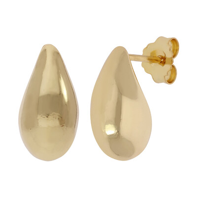 Orecchini in argento