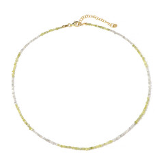 Collana in argento con Diamante Giallo