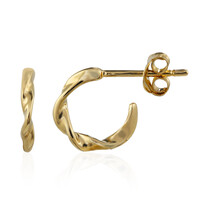 Orecchini in argento