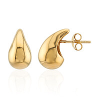 Orecchini in argento
