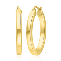 Orecchini in argento
