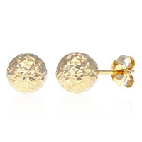 Orecchini in argento