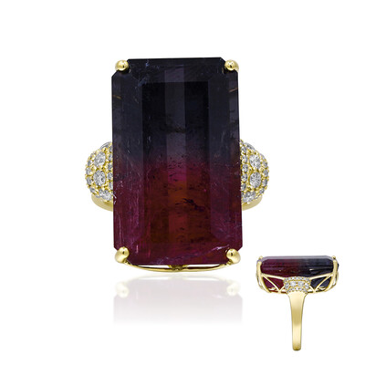 Anello in oro con Tormalina Bicolore (AMAYANI)