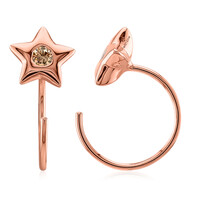 Orecchini in argento con Diamante Rose de France SI1 di Argyle