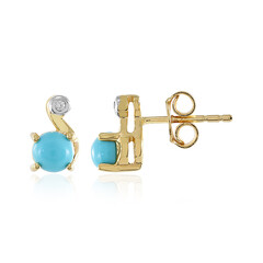 Orecchini in argento con Turchese