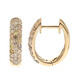 Orecchini in oro con Diamante Fancy SI2 (CIRARI)