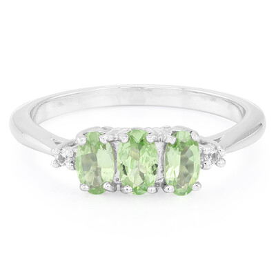 Anello in argento con Granato Menta Merelani