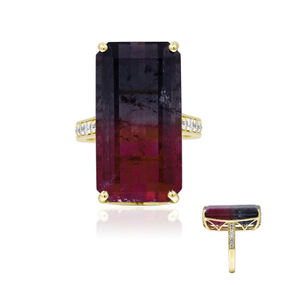 Anello in oro con Tormalina Bicolore (AMAYANI)