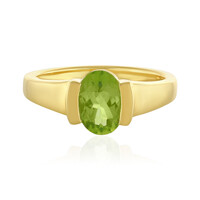 Anello in argento con Diopside Russo
