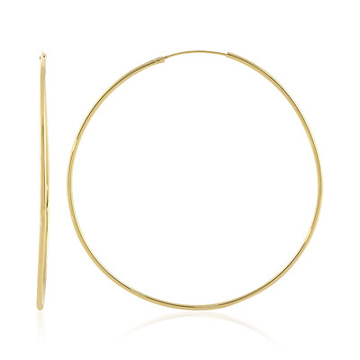 Orecchini in argento