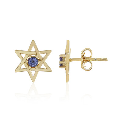 Orecchini in argento con Tanzanite