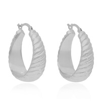 Orecchini in argento