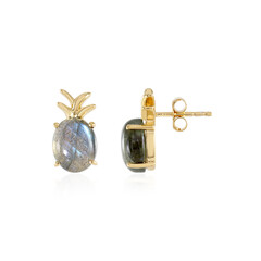 Orecchini in argento con Labradorite