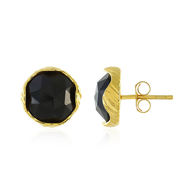 Orecchini in argento con Onice Nero