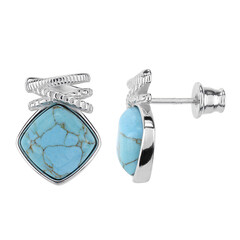Orecchini in argento con Turchese