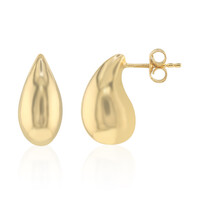 Orecchini in argento