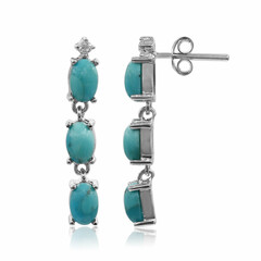 Orecchini in argento con Turchese