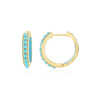 Orecchini in argento con Turchese Sleeping Beauty