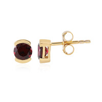 Orecchini in argento con Rodolite Lampone
