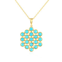 Collana in argento con Turchese Sleeping Beauty