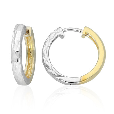 Orecchini in argento