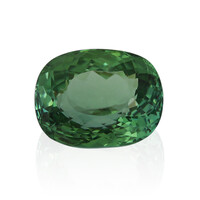 Gemma con Tormalina Verde