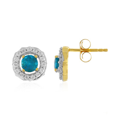 Orecchini in argento con Apatite Blu Neon