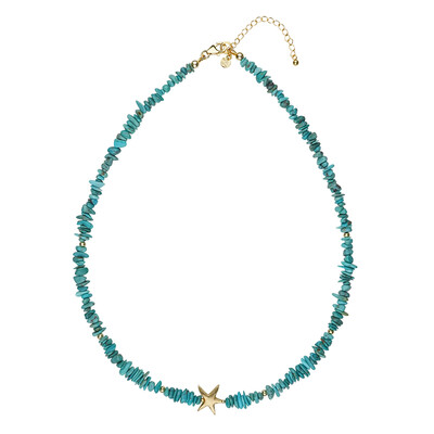 Collana in argento con Turchese
