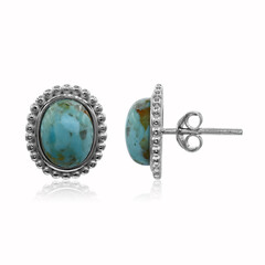 Orecchini in argento con Turchese