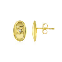 Orecchini in argento con Diamante PK (J)